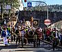 Die Narren des Vereins beim Umzug